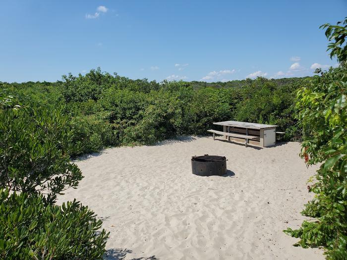 Oceanside site 78 in August 2023.  View of the wooden picnic table and black metal fire ring on the sand.  Brush surrounds the campsite.Oceanside site 78 - August 2023.