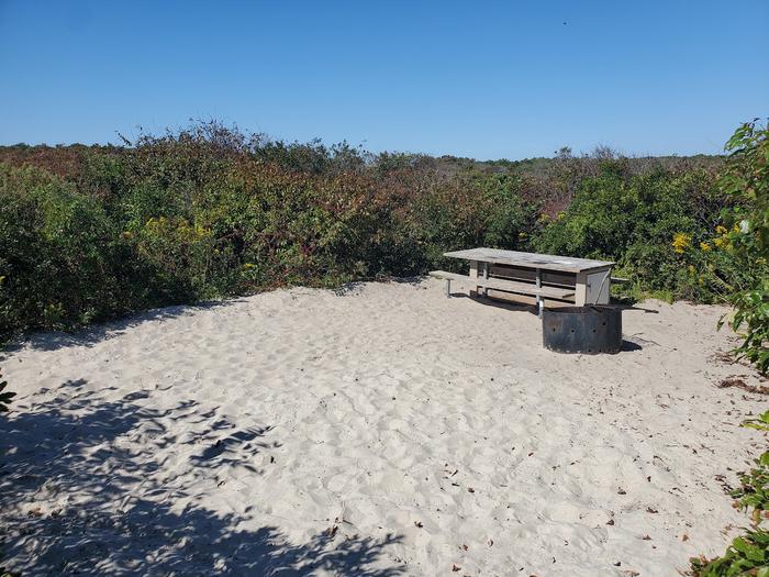 Oceanside site 78 in October 2023.  View of the black metal fire ring and wooden picnic table on the sand.  Brush surrounds the campsite.Oceanside site 78 - October 2023.