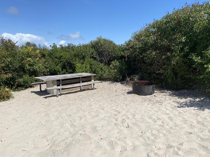 Oceanside site 78 in August 2024. View of the wooden picnic table and black metal fire ring on the sand.  Brush surrounds the campsite.Oceanside site 78 - August 2024.