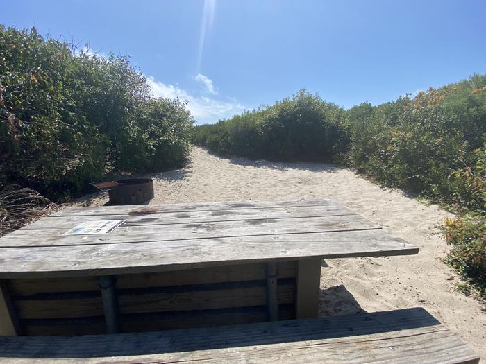 Oceanside site 78 in August 2024. Close up view of the wooden picnic table.  Black metal fire ring is behind the table near brush.Oceanside site 78 - August 2024.