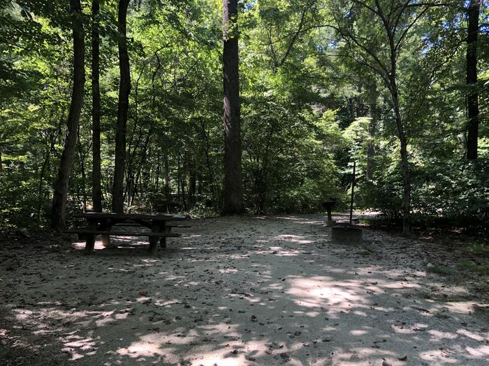 A photo of Site 001 of Loop CAVE MOUNTAIN LAKE FAMILY CAMP at CAVE MOUNTAIN LAKE FAMILY CAMP with Picnic Table, Shade, Tent Pad