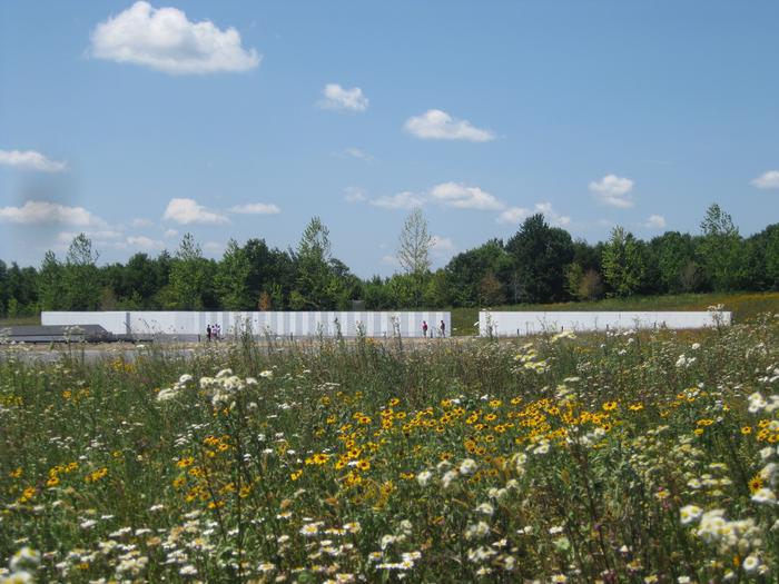 Wildflower field at the Memorial Plaza at the crash site