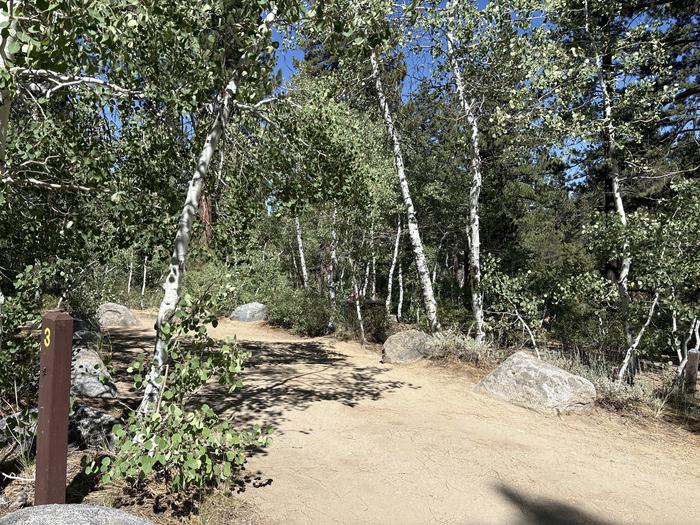 A photo of Site 3 of Loop Leavitt Meadows at Leavitt Meadows with Picnic Table, Fire Pit, Food Storage, Tent Pad