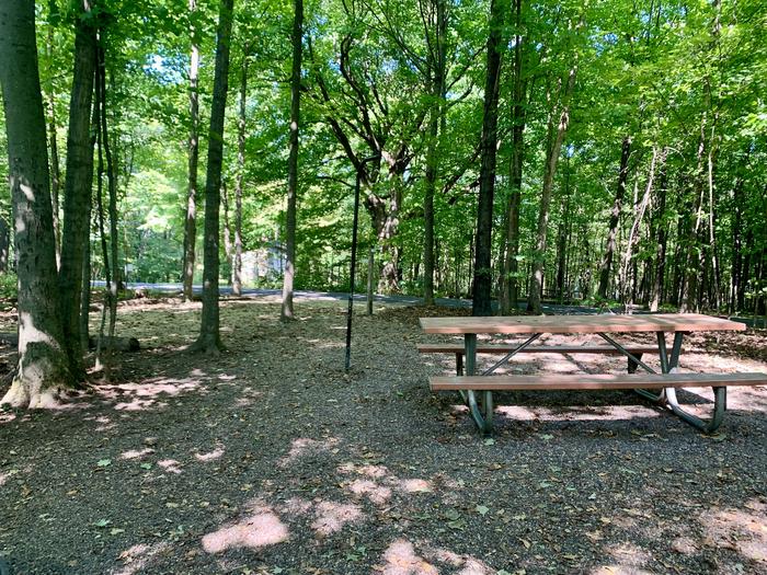 Tent site EView from the back of tent site E looking towards road. - Updated summer of 2024