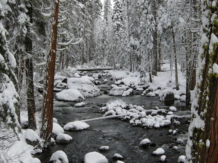 Snow Time on the Stanislaus National ForestSnow near Pinecrest, CA.