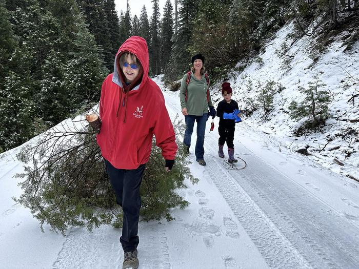 Christmas tree cutting permit Cherished family memories 