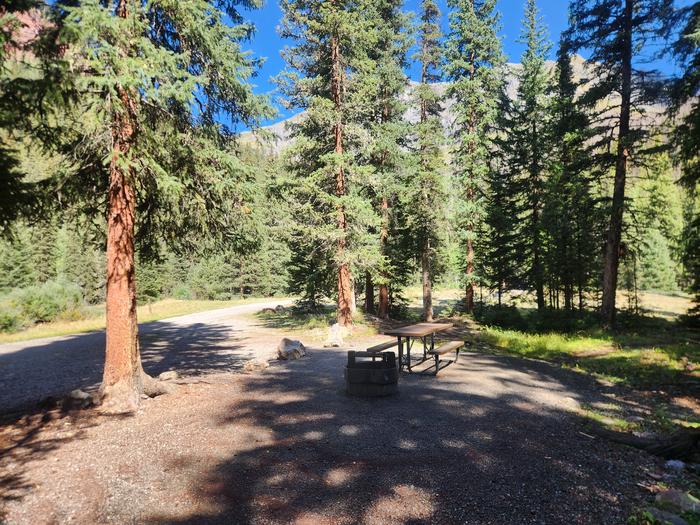 Campsite with picnic table and fire ring surrounded by tall pines in the shade