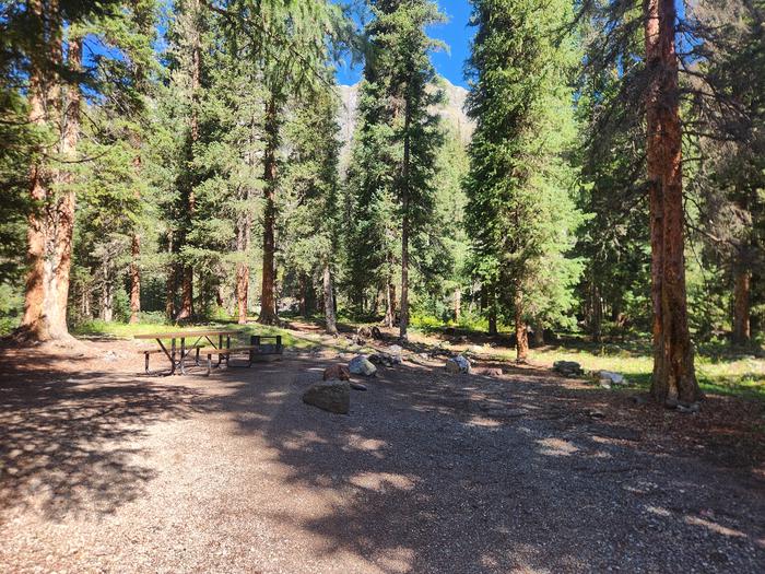 Site that has more pine trees and shade, with picnic table and fire ring