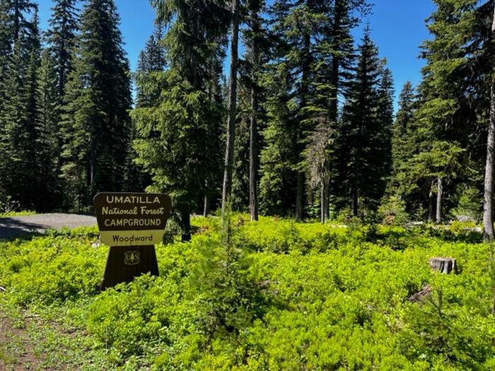 Entrance sign reading " UMATILLA National Forest CAMPGROUND - Woodward" in a wooded area with tall trees and green underbrushEntrance Sign to Woodward Campground