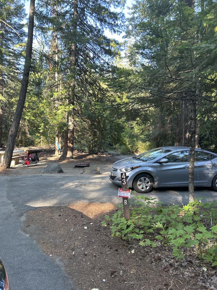 A photo of Site 43 of Loop North Loop at NASON CREEK CAMPGROUND with Picnic Table, Fire Pit, Shade