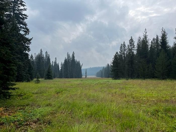 A photo of the meadow in the center of Target Meadows CampgroundTarget Meadow