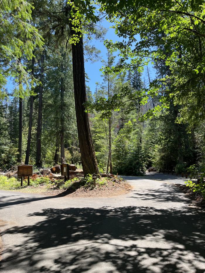 Loop road in Camp sites all along loop