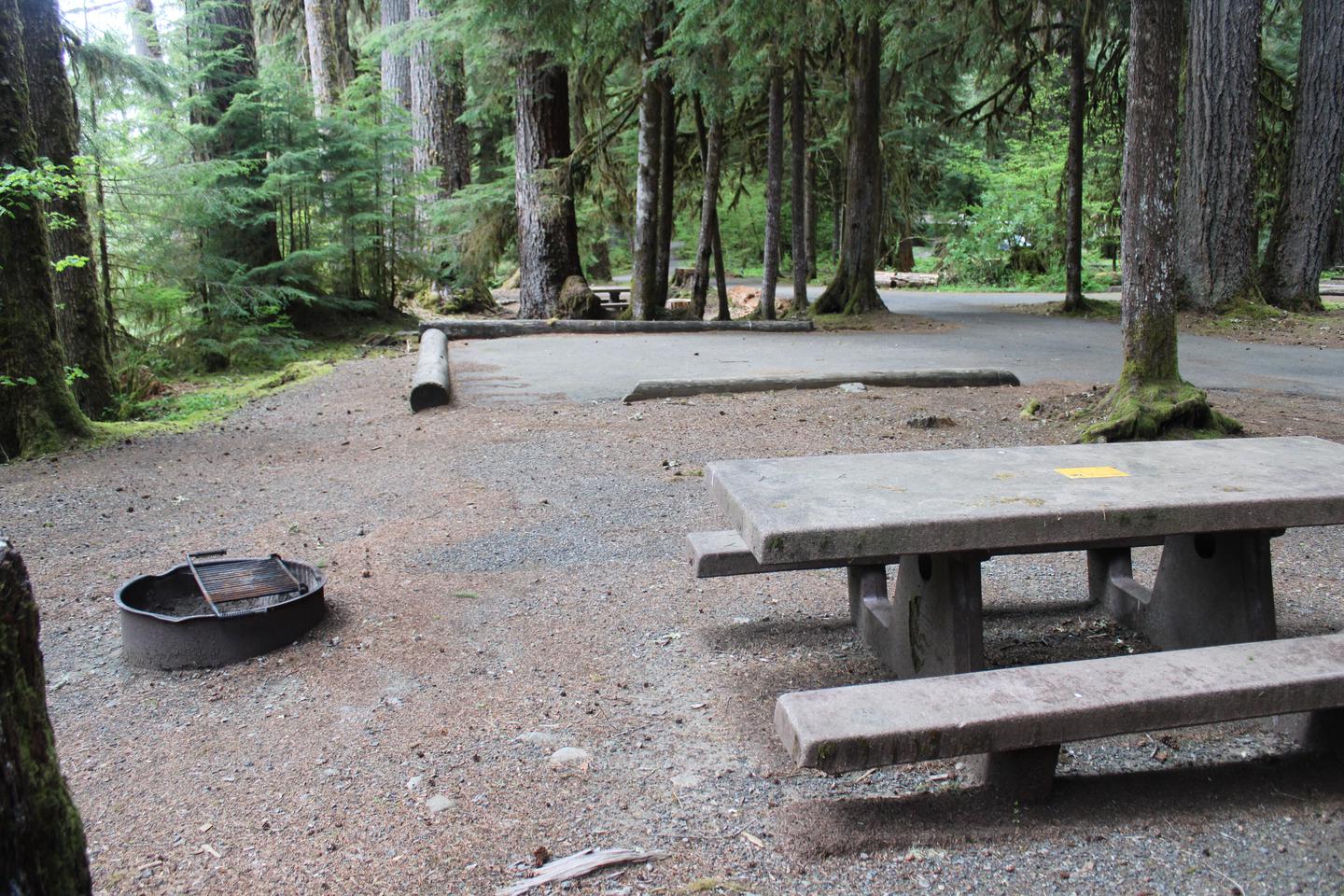 Picnic table and fire pit