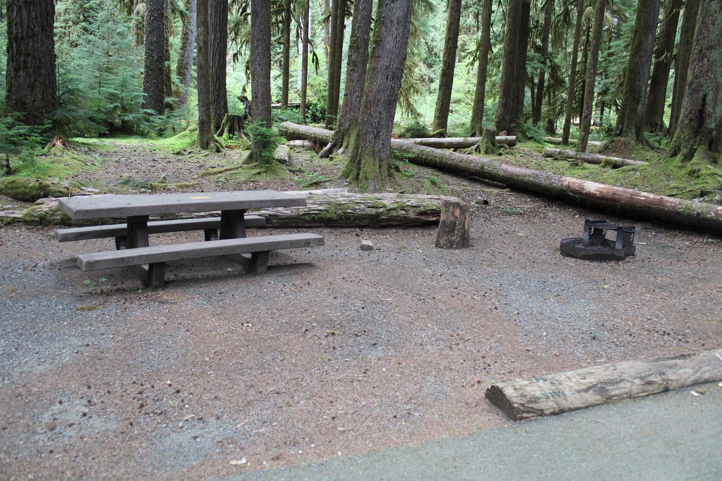 Picnic table and fire pit