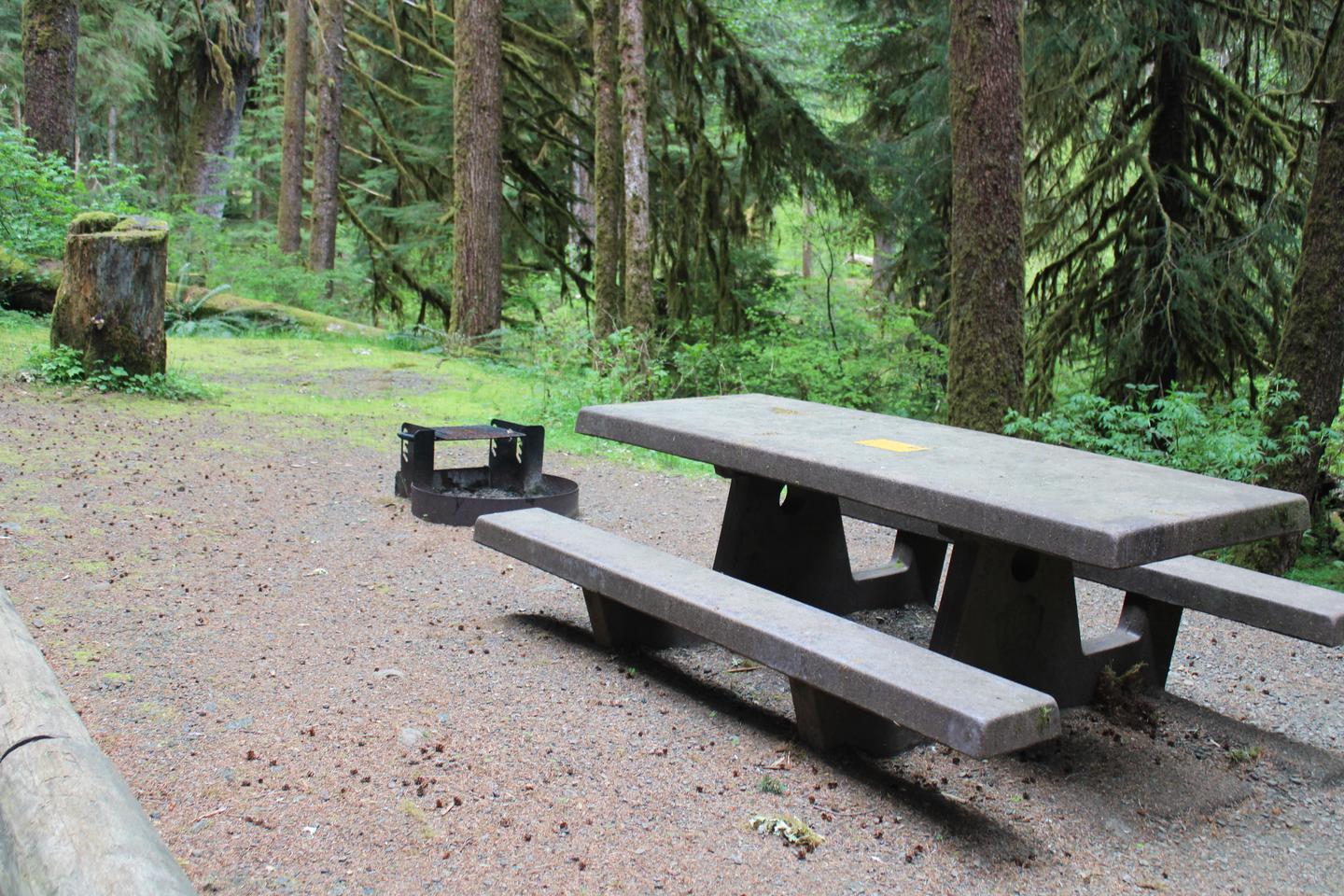 Picnic table and fire pit