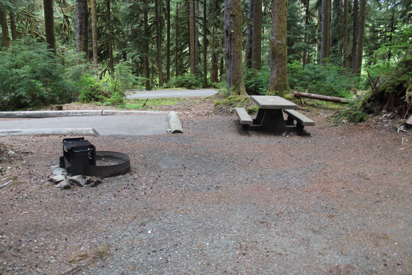 Picnic table and fire pit