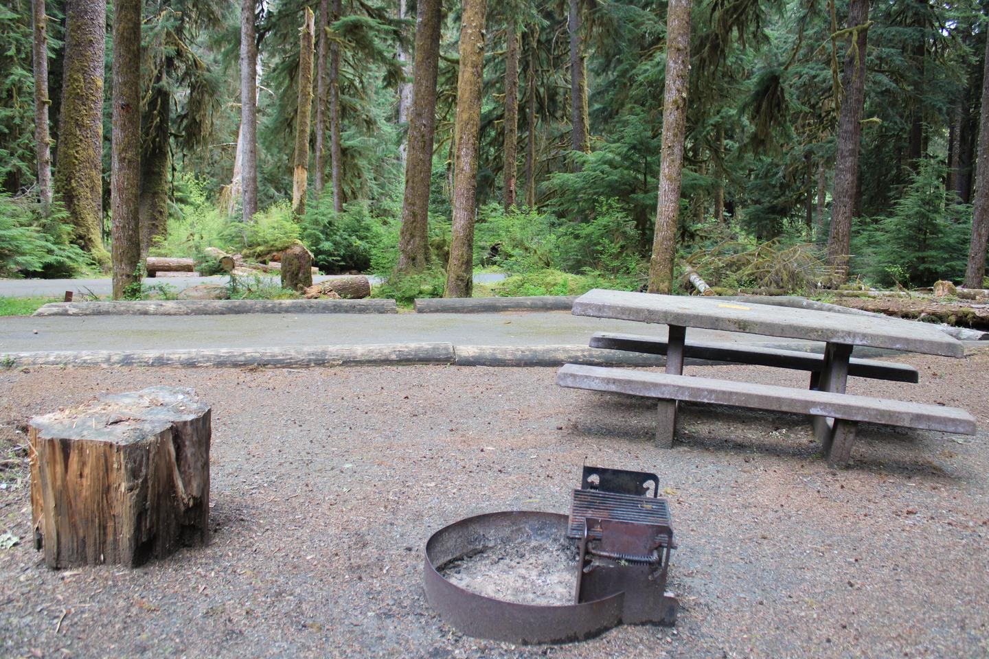 Picnic table and fire pit