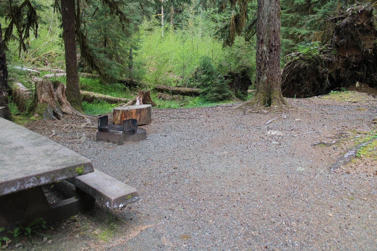 Picnic table and fire pit