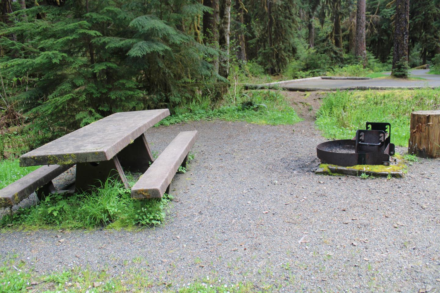 Picnic table and fire pit