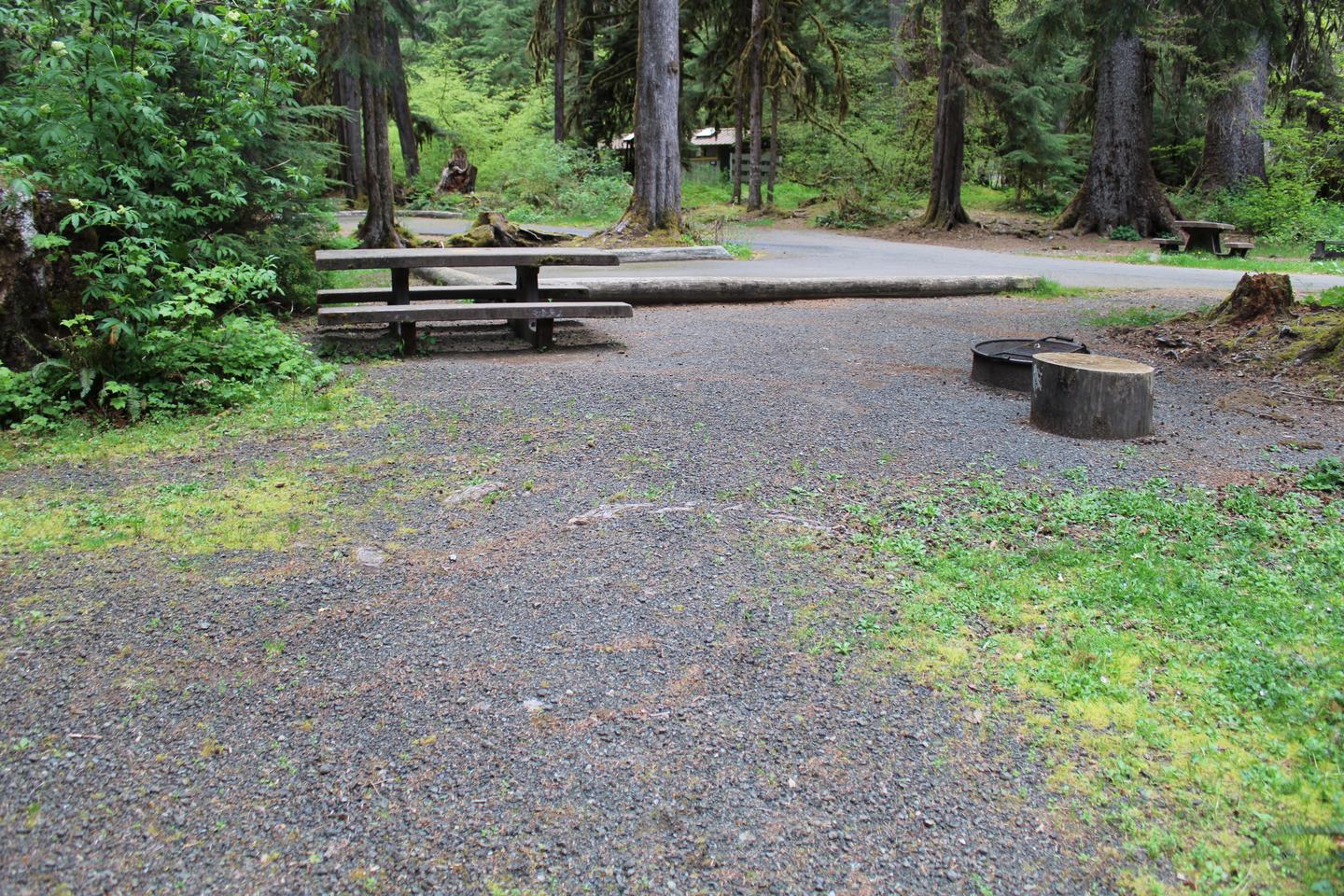 Picnic table and fire pit