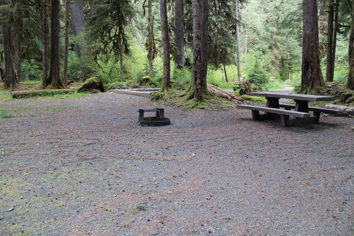 Picnic table and fire pit