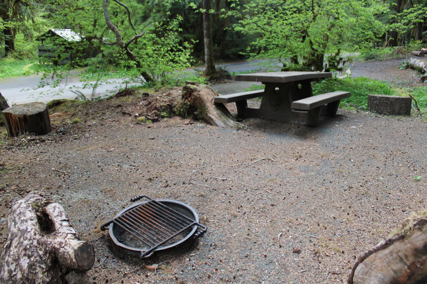 Picnic table and fire pit