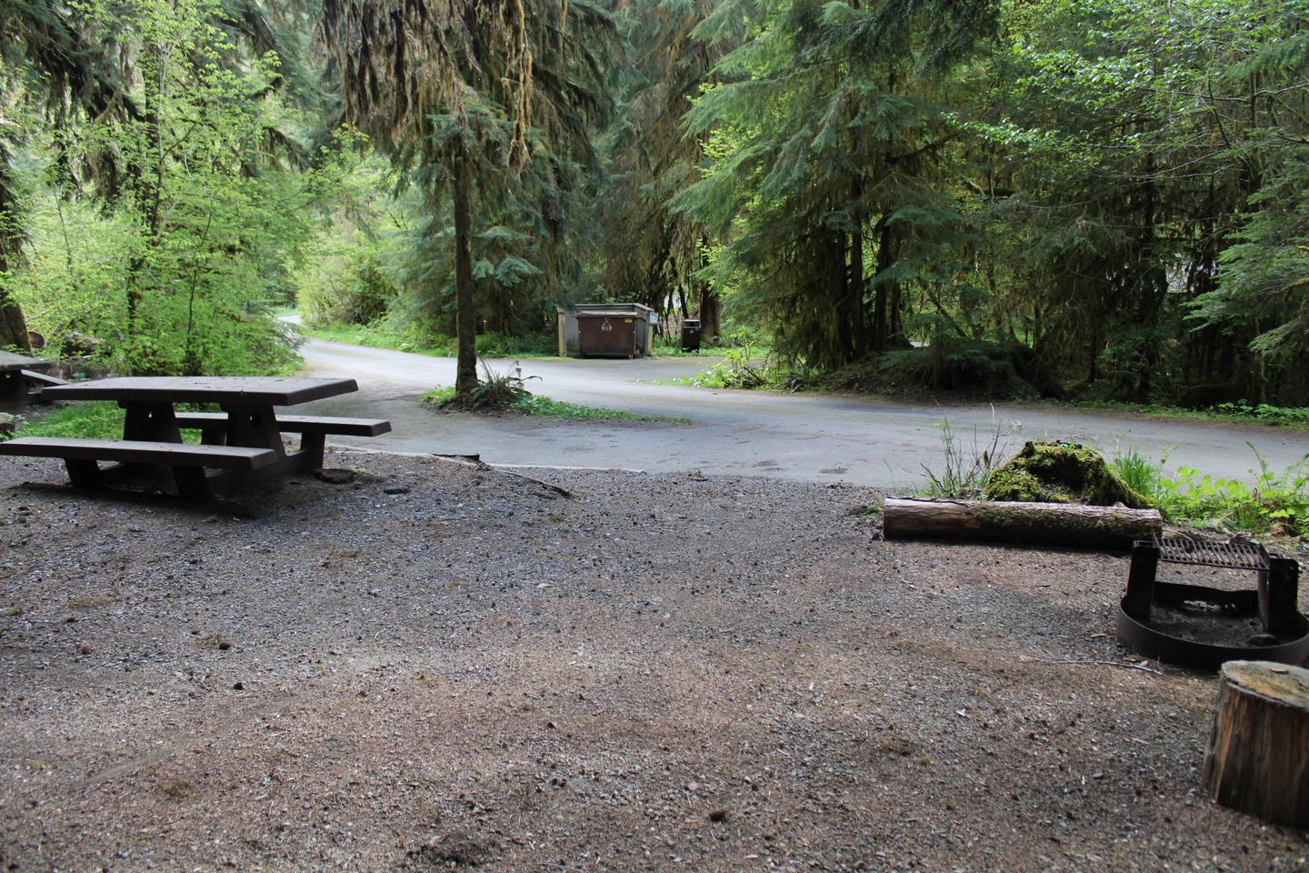 Picnic table and fire pit