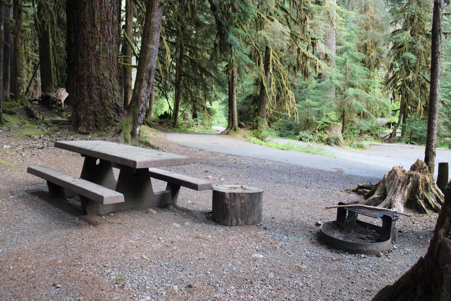 Picnic table and fire pit