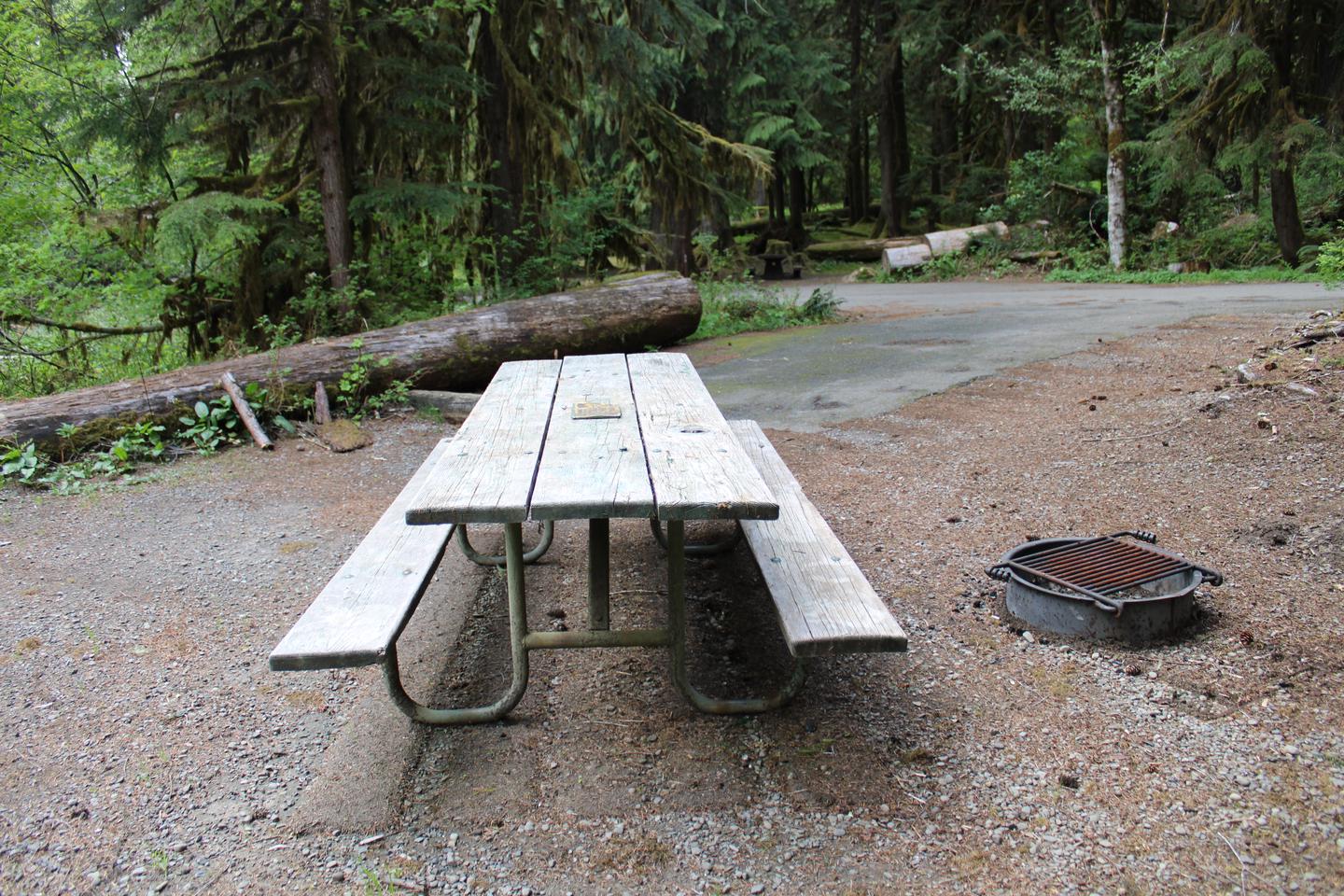 Picnic table and fire pit