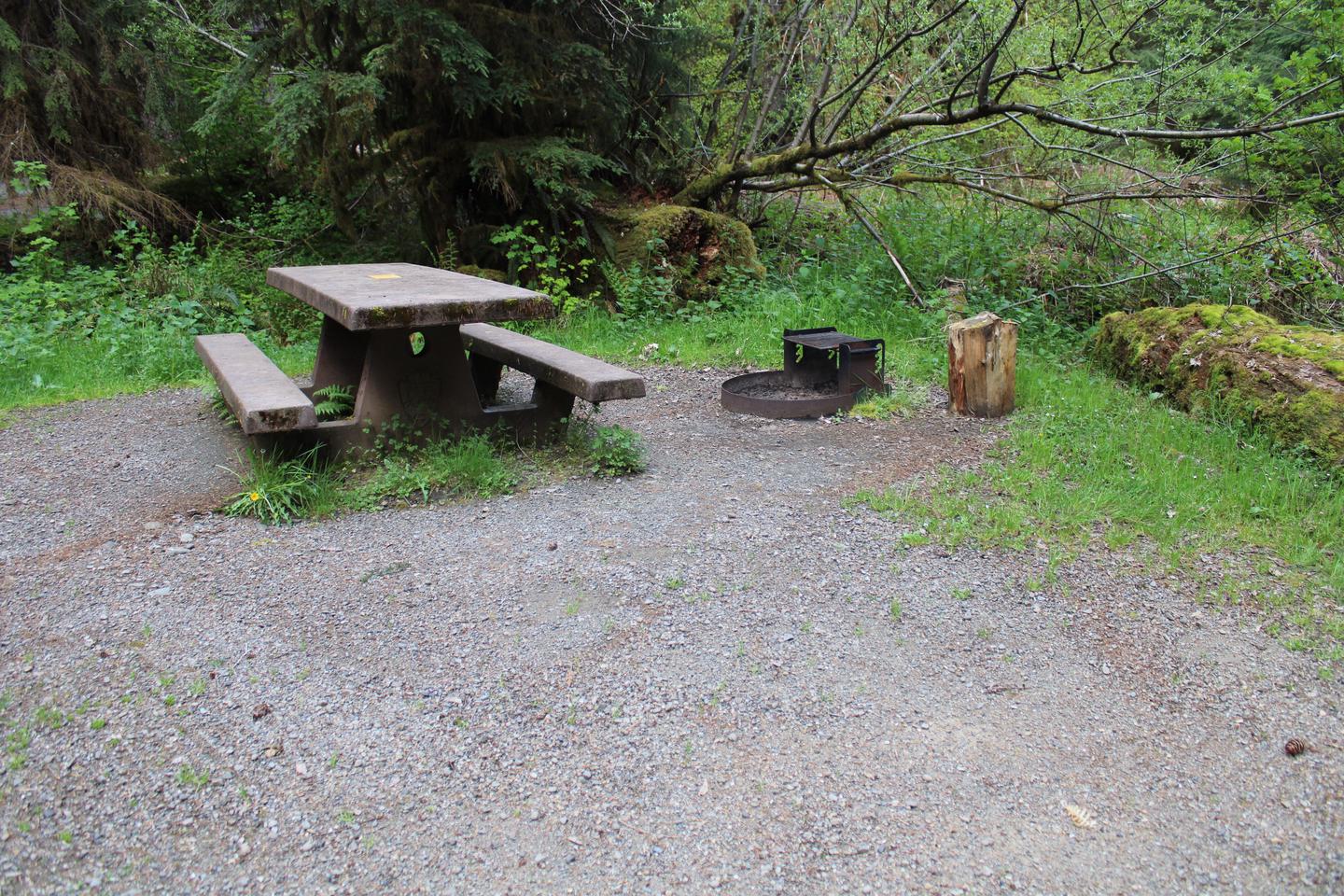 Picnic table and fire pit