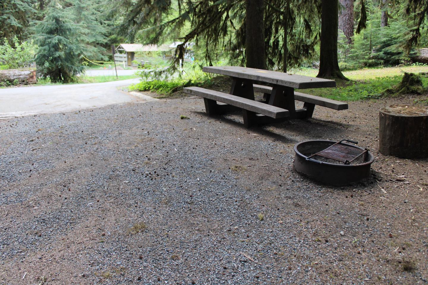 Picnic table and fire pit