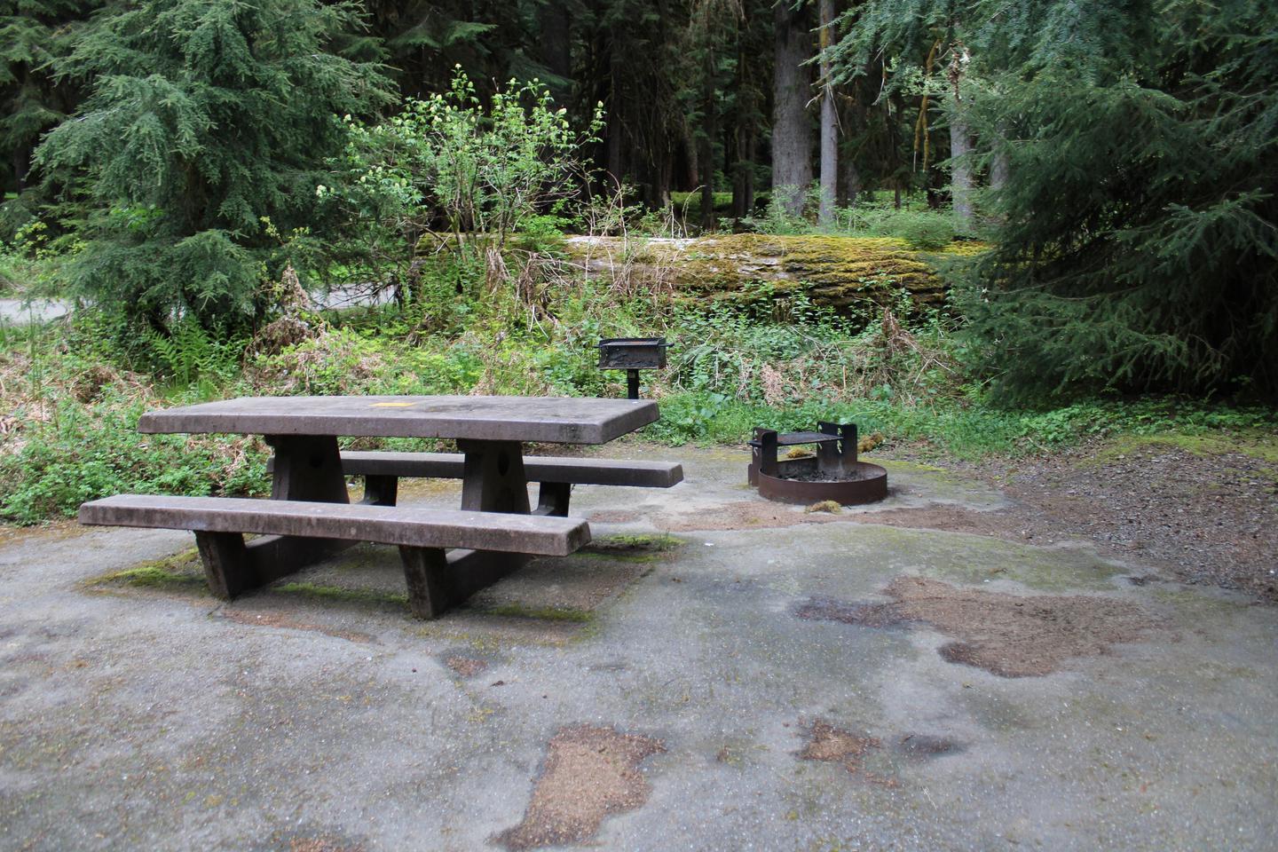 Picnic table and fire pit