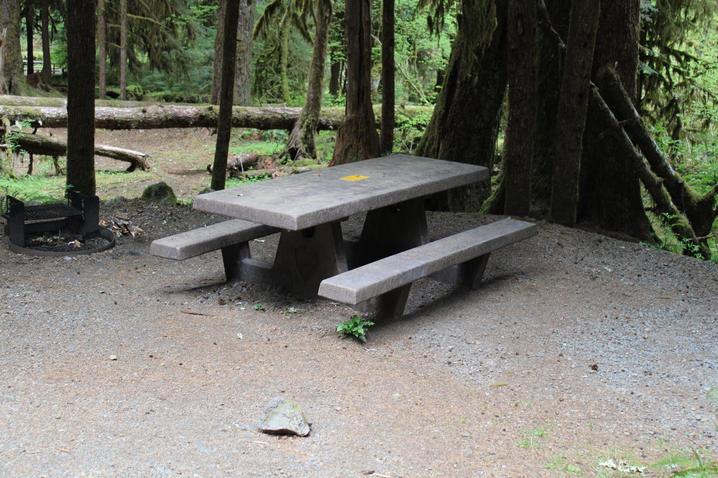 Picnic table and fire pit