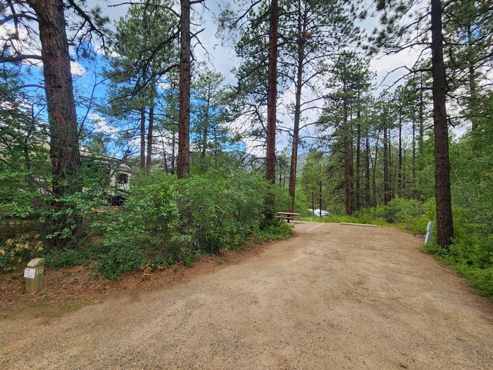 Site 10 back-in spur with electrical pedestal, picnic table, fire ring