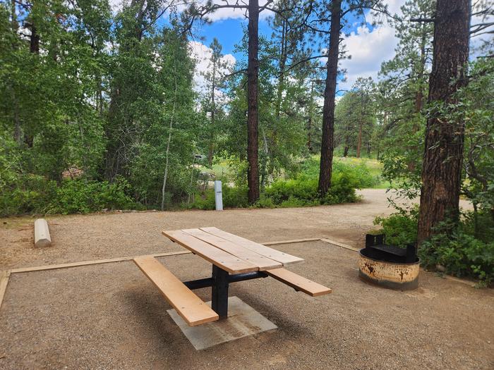 Site 10 looking from picnic table and fire ring area back towards spur