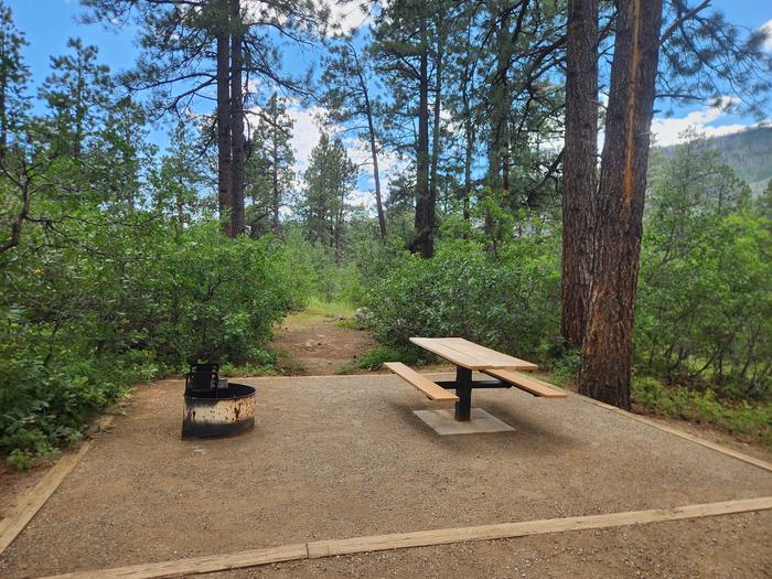 Picnic table and fire ring for site 10