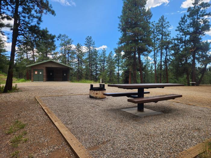 Site 13 picnic table and fire ring with a little additional parking just past the amenities