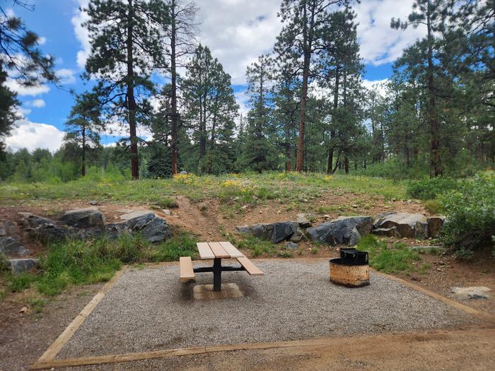 Site 15 picnic table and fire ring