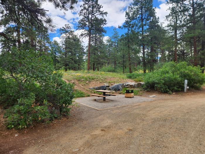 Site 15 spur looking from other end, includes picnic table, fire ring, and power