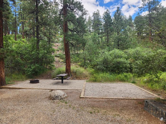 Site 27 picnic table, fire ring, and tent pad