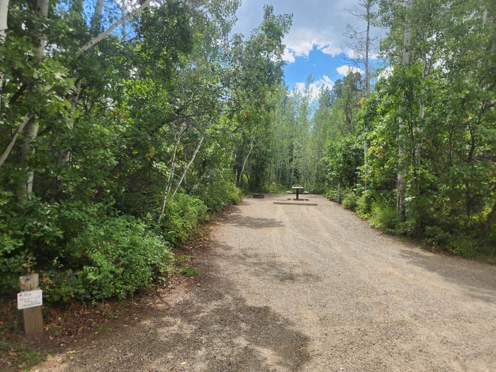 Site 34 back-in spur with electircal pedestal,  picnic table, fire ring, and tent pad located at rear of siteSite 34 back-in spur with electrical pedestal, picnic table, fire ring, and tent pad located at rear of site