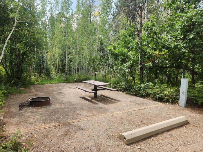 Site 34 fire ring, picnic table, electrical pedestal, and tent pad behind