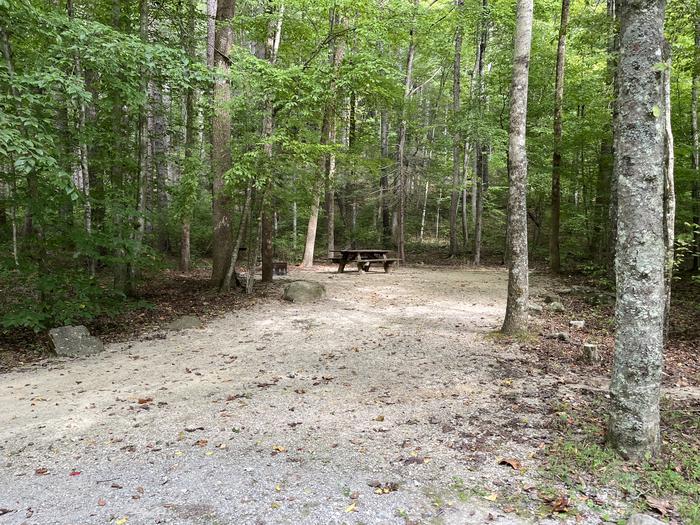 A photo of Site 027 of Loop CAVE MOUNTAIN LAKE FAMILY CAMP at CAVE MOUNTAIN LAKE FAMILY CAMP with Picnic Table, Tent Pad