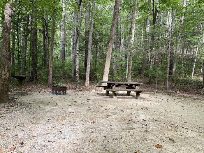 A photo of Site 027 of Loop CAVE MOUNTAIN LAKE FAMILY CAMP at CAVE MOUNTAIN LAKE FAMILY CAMP with Picnic Table, Fire Pit, Shade, Lantern Pole