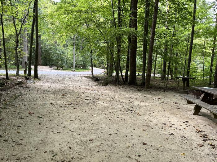 A photo of Site 027 of Loop CAVE MOUNTAIN LAKE FAMILY CAMP at CAVE MOUNTAIN LAKE FAMILY CAMP with Shade, Tent Pad