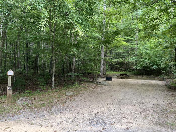 A photo of Site 025 of Loop CAVE MOUNTAIN LAKE FAMILY CAMP at CAVE MOUNTAIN LAKE FAMILY CAMP with Shade, Tent Pad