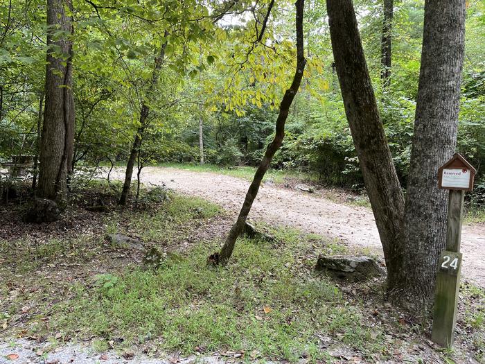 A photo of Site 024 of Loop CAVE MOUNTAIN LAKE FAMILY CAMP at CAVE MOUNTAIN LAKE FAMILY CAMP with No Amenities Shown