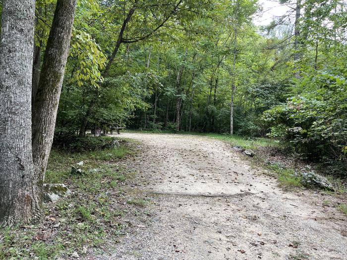 A photo of Site 024 of Loop CAVE MOUNTAIN LAKE FAMILY CAMP at CAVE MOUNTAIN LAKE FAMILY CAMP with Shade, Tent Pad