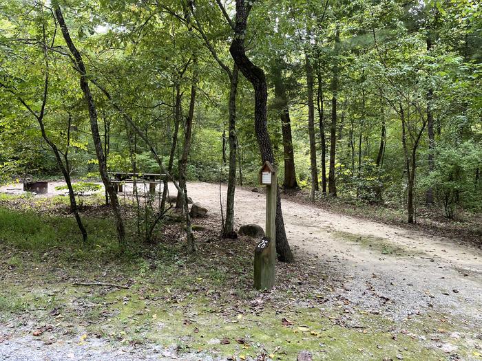 A photo of Site 026 of Loop CAVE MOUNTAIN LAKE FAMILY CAMP at CAVE MOUNTAIN LAKE FAMILY CAMP with No Amenities Shown