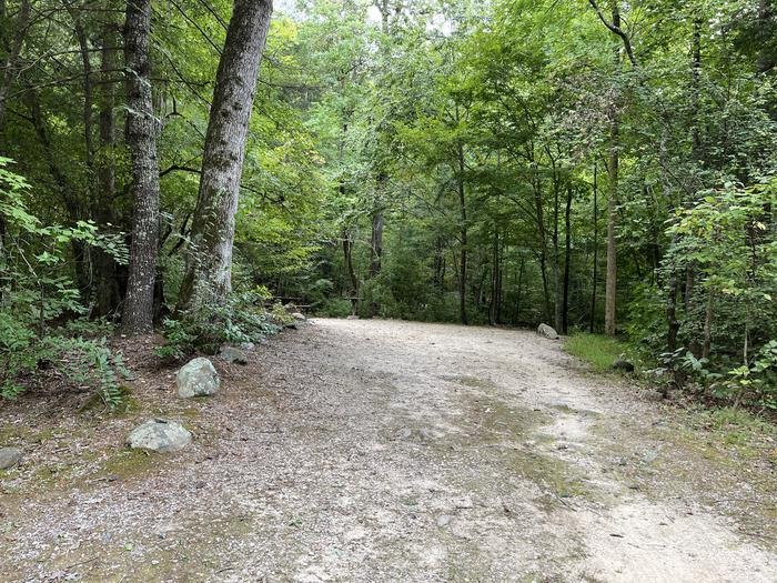 A photo of Site 023 of Loop CAVE MOUNTAIN LAKE FAMILY CAMP at CAVE MOUNTAIN LAKE FAMILY CAMP with Shade, Tent Pad